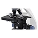 Monocular Light Microscope